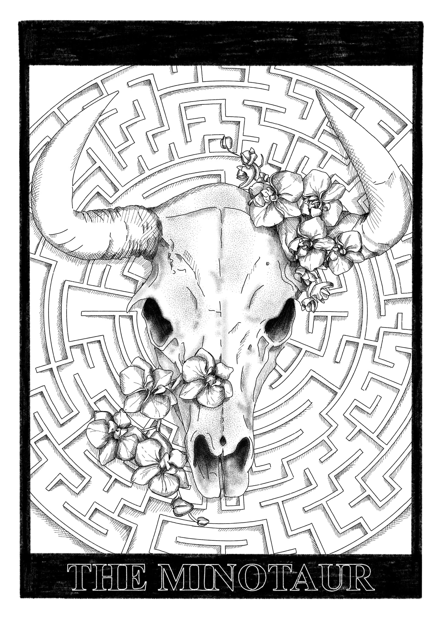 The Minotaur