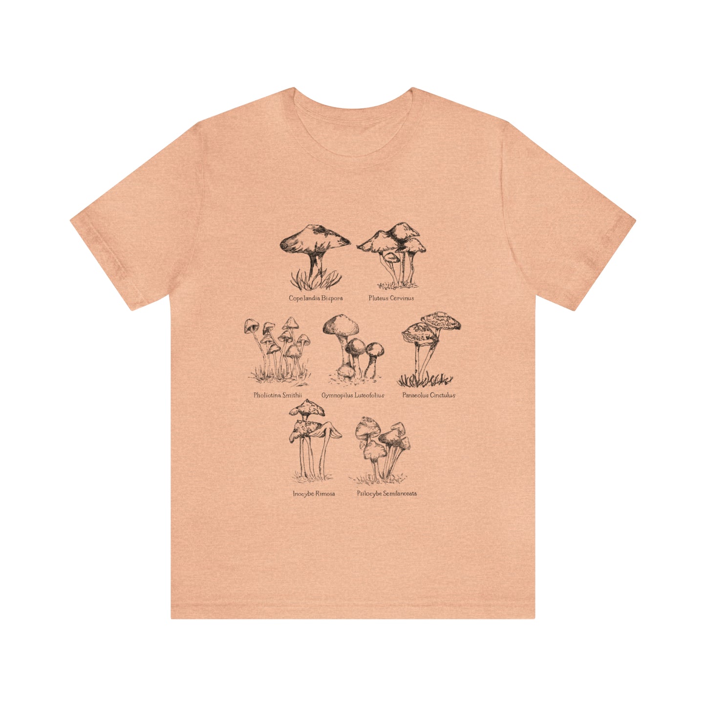 Wild Mushrooms T-Shirt