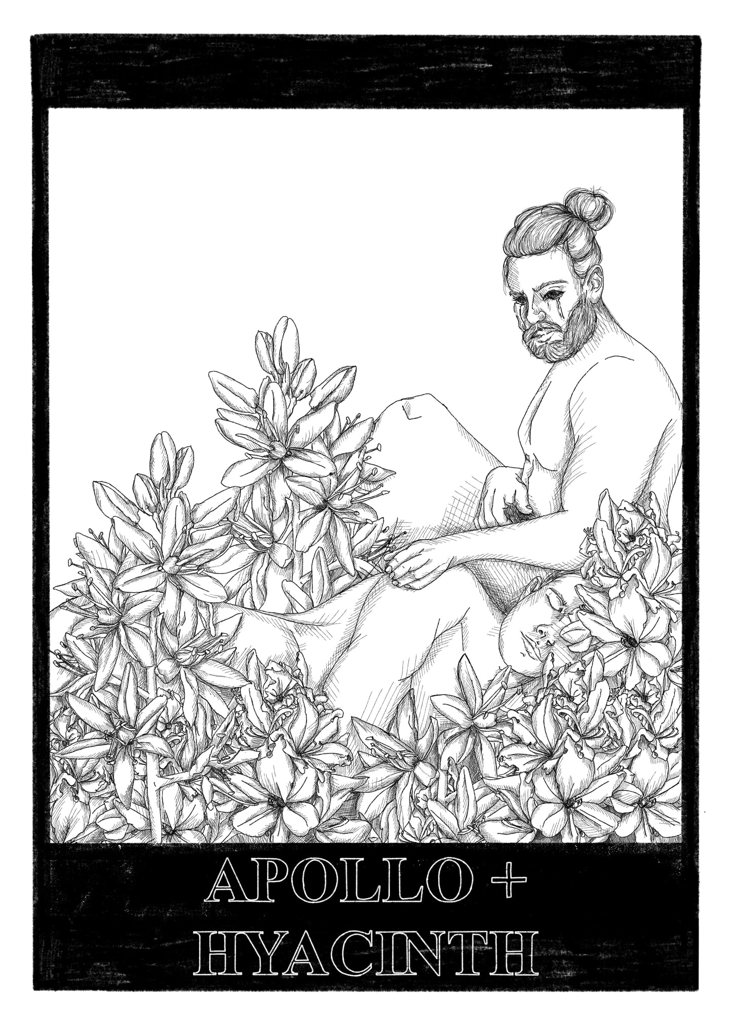 Apollo + Hyacinth