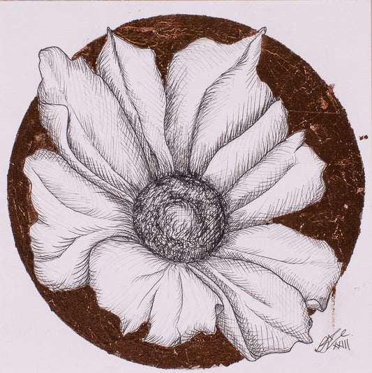 Bronze Leaf Poppy