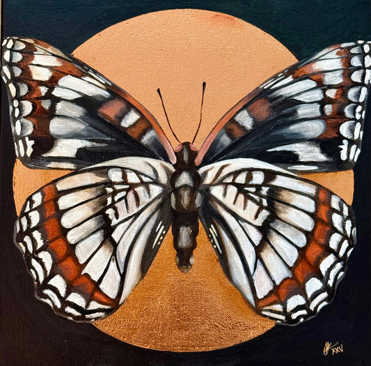 Weidmeyer's Admiral
