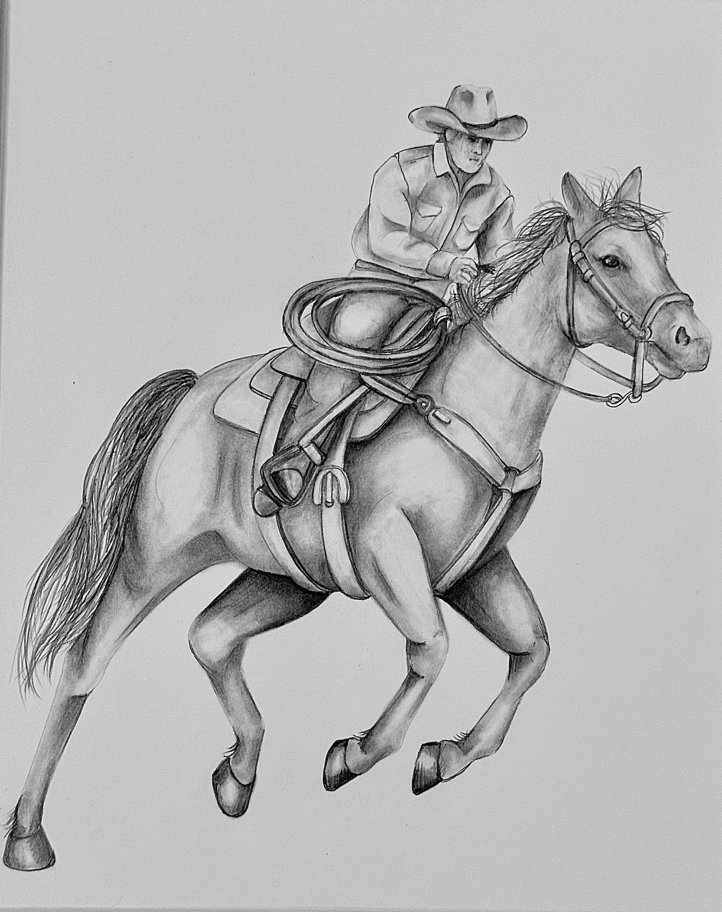 Cowboy VI