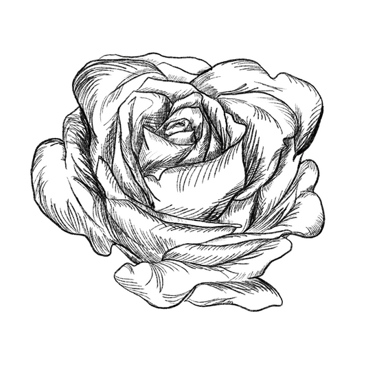 Rose III